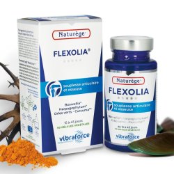 FLEXOLIA - CONFORT ARTICULAIRE - 90 GÉLULES VÉGÉTALES- NATURÈGE VIBRA
