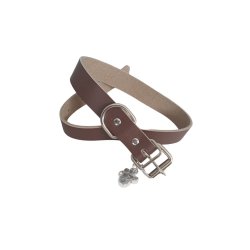 Collier cuir pour chien magnétique L